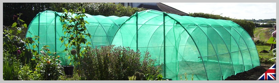 Banner 2 (Store Front)