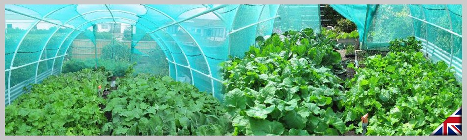 Banner Falkland Islands 2